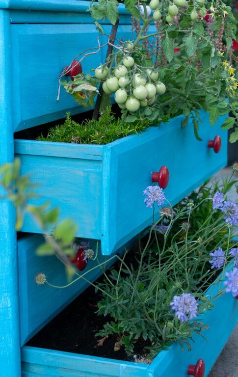Gardening Projects That Keep You Moving in Small Spaces